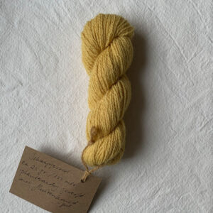 fluitenkruid geel Schaapjeswol, breipakketje